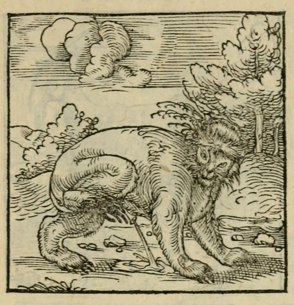 An illustration from Orvs Apollo de Ægypte De la signification des notes hieroglyphiques des Aegyptiens : cest a dire des figures par les quelles ilz escripuoient leurs mysteres secretz, & les choses sainctes & diuines, 1543, leaf 153