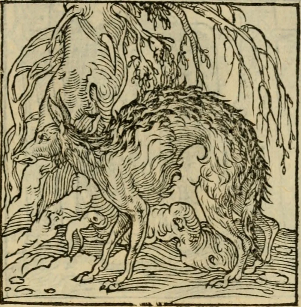 An illustration from Orvs Apollo de Ægypte De la signification des notes hieroglyphiques des Aegyptiens : cest a dire des figures par les quelles ilz escripuoient leurs mysteres secretz, & les choses sainctes & diuines, 1543, leaf 154
