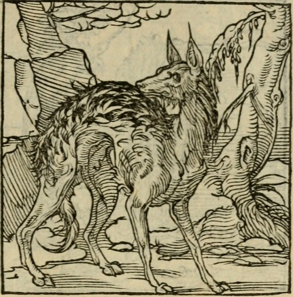 An illustration from Orvs Apollo de Ægypte De la signification des notes hieroglyphiques des Aegyptiens : cest a dire des figures par les quelles ilz escripuoient leurs mysteres secretz, & les choses sainctes & diuines, 1543, leaf 156