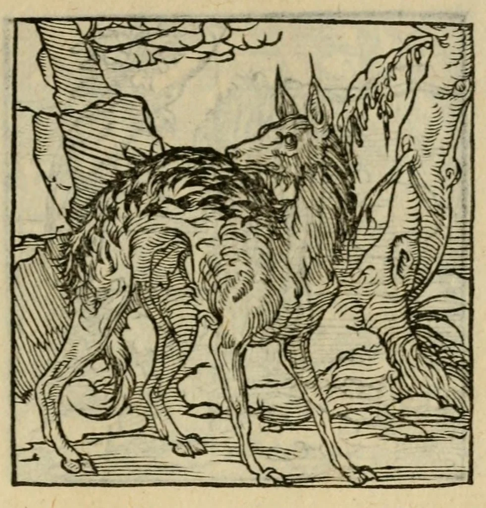 An illustration from Orvs Apollo de Ægypte De la signification des notes hieroglyphiques des Aegyptiens : cest a dire des figures par les quelles ilz escripuoient leurs mysteres secretz, & les choses sainctes & diuines, 1543, leaf 157