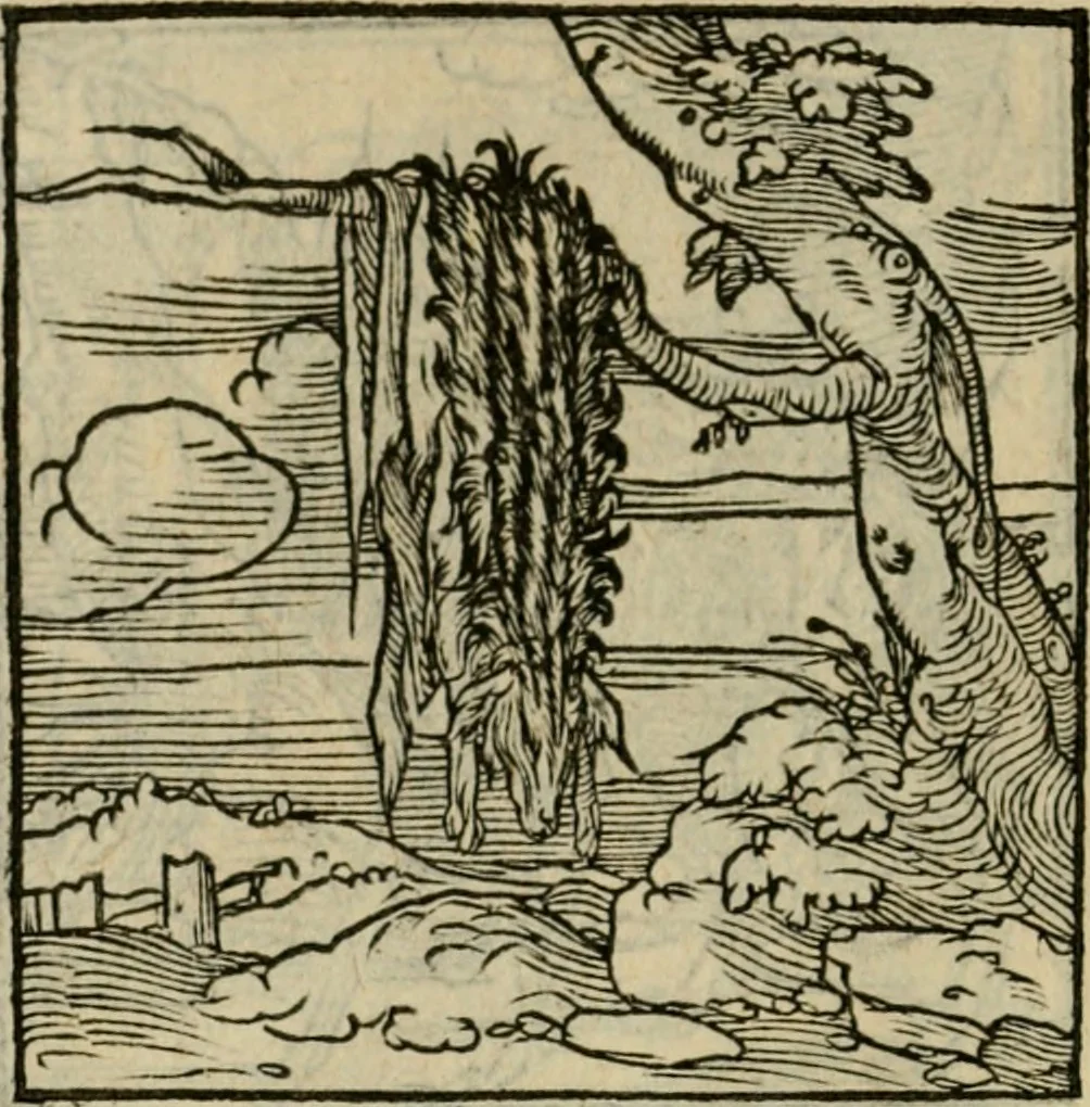 An illustration from Orvs Apollo de Ægypte De la signification des notes hieroglyphiques des Aegyptiens : cest a dire des figures par les quelles ilz escripuoient leurs mysteres secretz, & les choses sainctes & diuines, 1543, leaf 157