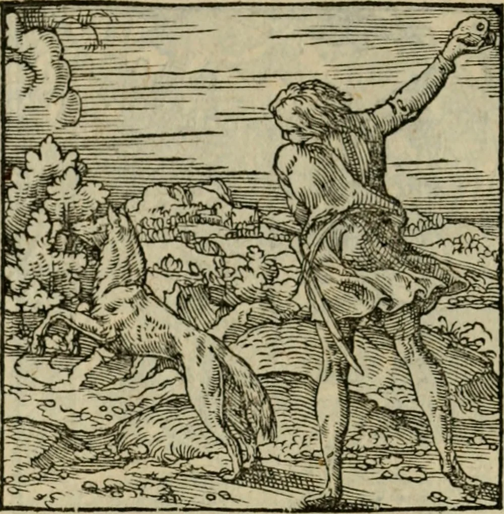 An illustration from Orvs Apollo de Ægypte De la signification des notes hieroglyphiques des Aegyptiens : cest a dire des figures par les quelles ilz escripuoient leurs mysteres secretz, & les choses sainctes & diuines, 1543, leaf 159