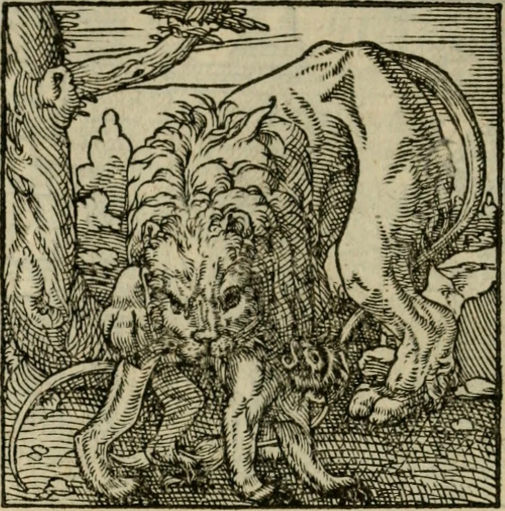 An illustration from Orvs Apollo de Ægypte De la signification des notes hieroglyphiques des Aegyptiens : cest a dire des figures par les quelles ilz escripuoient leurs mysteres secretz, & les choses sainctes & diuines, 1543, leaf 161