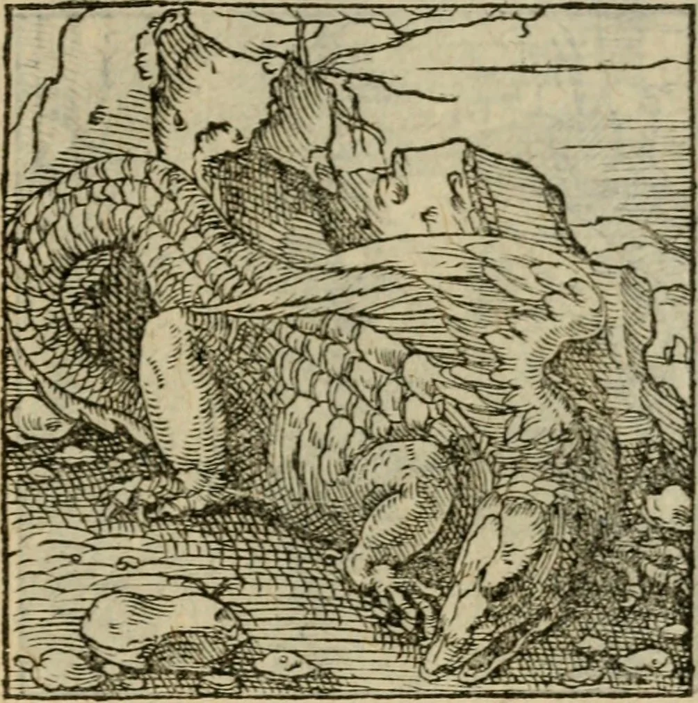 An illustration from Orvs Apollo de Ægypte De la signification des notes hieroglyphiques des Aegyptiens : cest a dire des figures par les quelles ilz escripuoient leurs mysteres secretz, & les choses sainctes & diuines, 1543, leaf 166