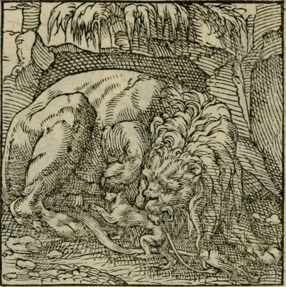 An illustration from Orvs Apollo de Ægypte De la signification des notes hieroglyphiques des Aegyptiens : cest a dire des figures par les quelles ilz escripuoient leurs mysteres secretz, & les choses sainctes & diuines, 1543, leaf 167