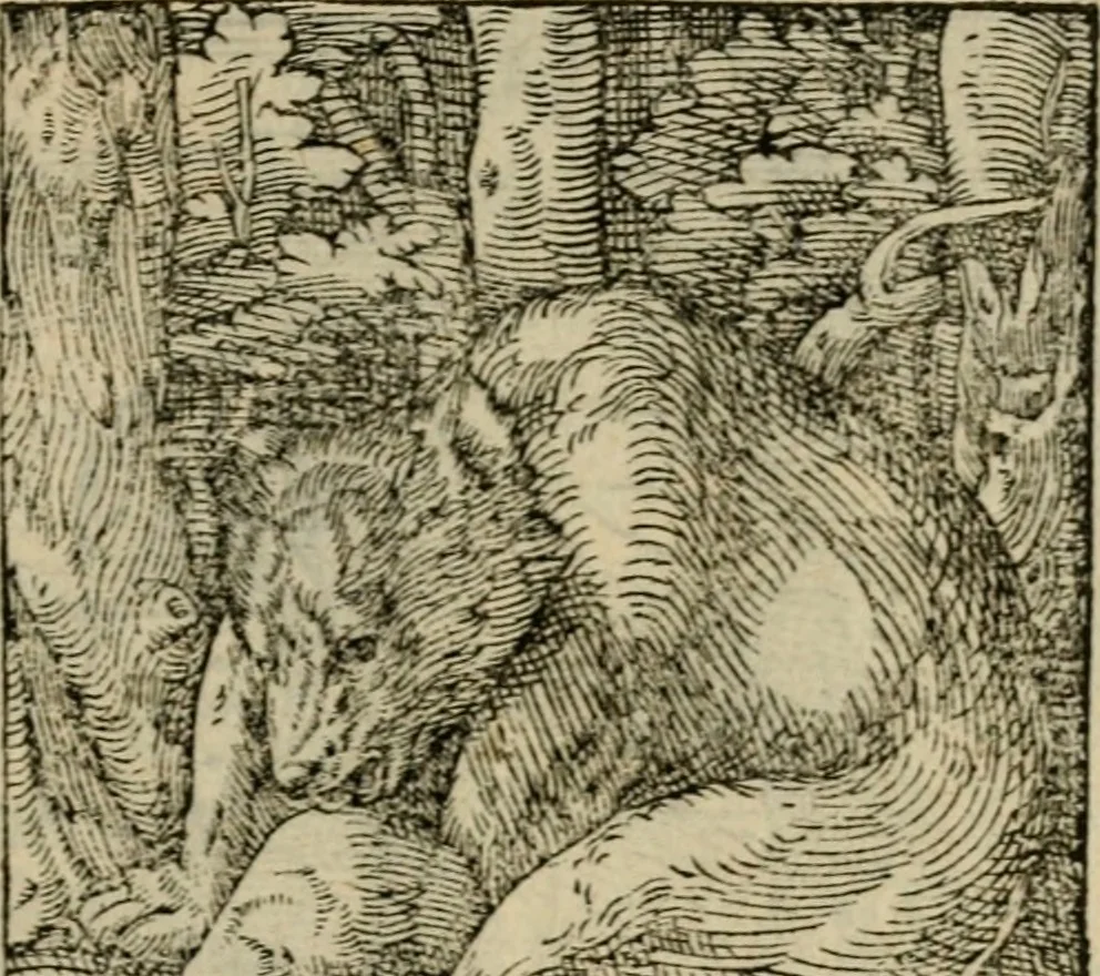 An illustration from Orvs Apollo de Ægypte De la signification des notes hieroglyphiques des Aegyptiens : cest a dire des figures par les quelles ilz escripuoient leurs mysteres secretz, & les choses sainctes & diuines, 1543, leaf 168