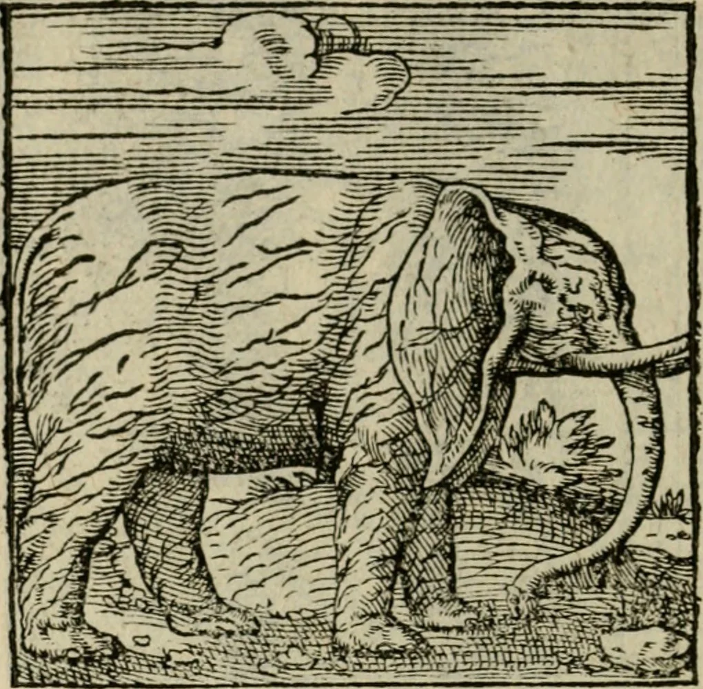 An illustration from Orvs Apollo de Ægypte De la signification des notes hieroglyphiques des Aegyptiens : cest a dire des figures par les quelles ilz escripuoient leurs mysteres secretz, & les choses sainctes & diuines, 1543, leaf 169