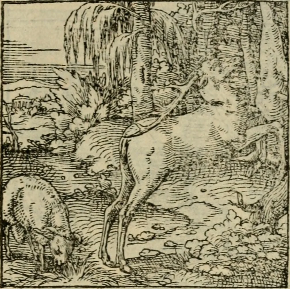 An illustration from Orvs Apollo de Ægypte De la signification des notes hieroglyphiques des Aegyptiens : cest a dire des figures par les quelles ilz escripuoient leurs mysteres secretz, & les choses sainctes & diuines, 1543, leaf 170