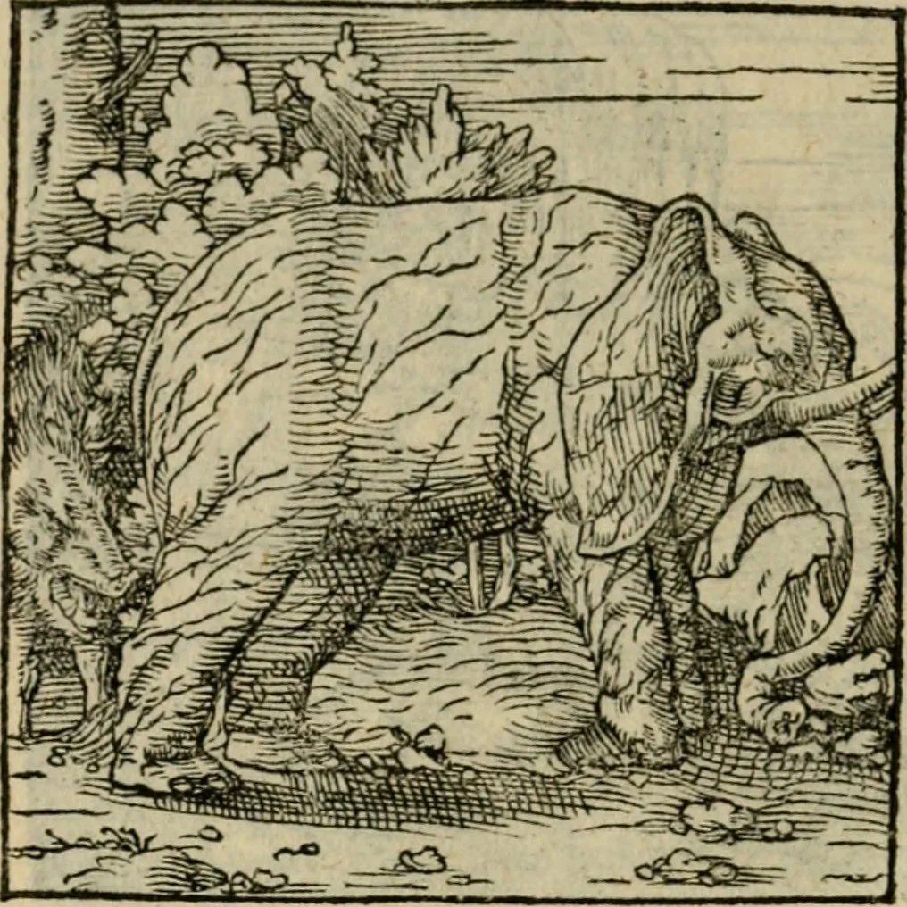 An illustration from Orvs Apollo de Ægypte De la signification des notes hieroglyphiques des Aegyptiens : cest a dire des figures par les quelles ilz escripuoient leurs mysteres secretz, & les choses sainctes & diuines, 1543, leaf 171