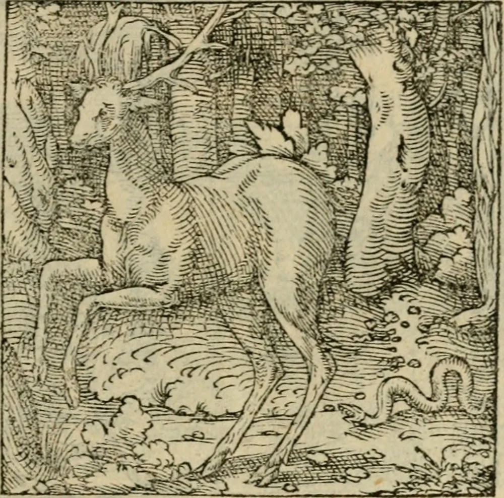 An illustration from Orvs Apollo de Ægypte De la signification des notes hieroglyphiques des Aegyptiens : cest a dire des figures par les quelles ilz escripuoient leurs mysteres secretz, & les choses sainctes & diuines, 1543, leaf 172