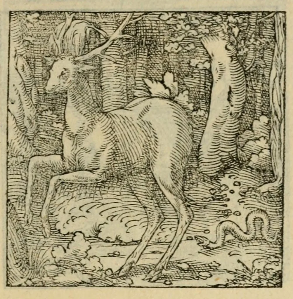 An illustration from Orvs Apollo de Ægypte De la signification des notes hieroglyphiques des Aegyptiens : cest a dire des figures par les quelles ilz escripuoient leurs mysteres secretz, & les choses sainctes & diuines, 1543, leaf 173