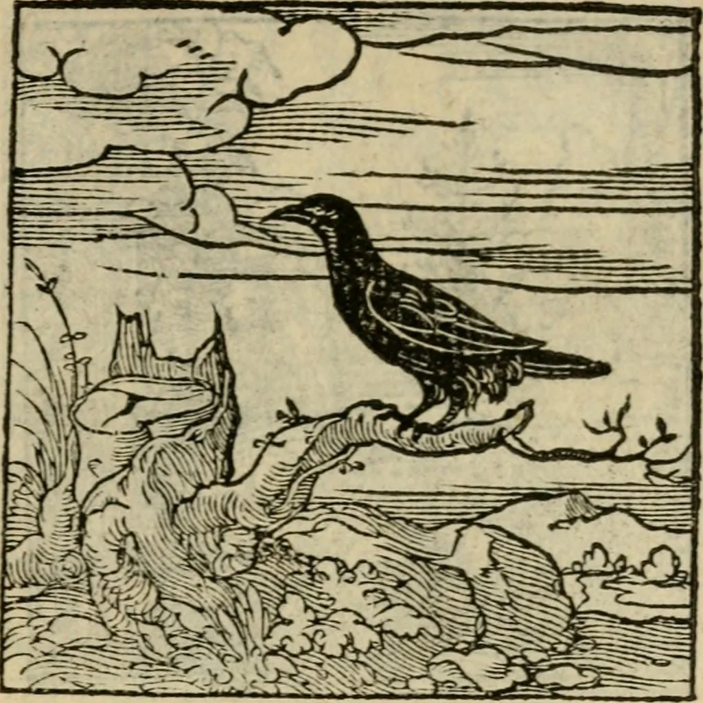 An illustration from Orvs Apollo de Ægypte De la signification des notes hieroglyphiques des Aegyptiens : cest a dire des figures par les quelles ilz escripuoient leurs mysteres secretz, & les choses sainctes & diuines, 1543, leaf 174