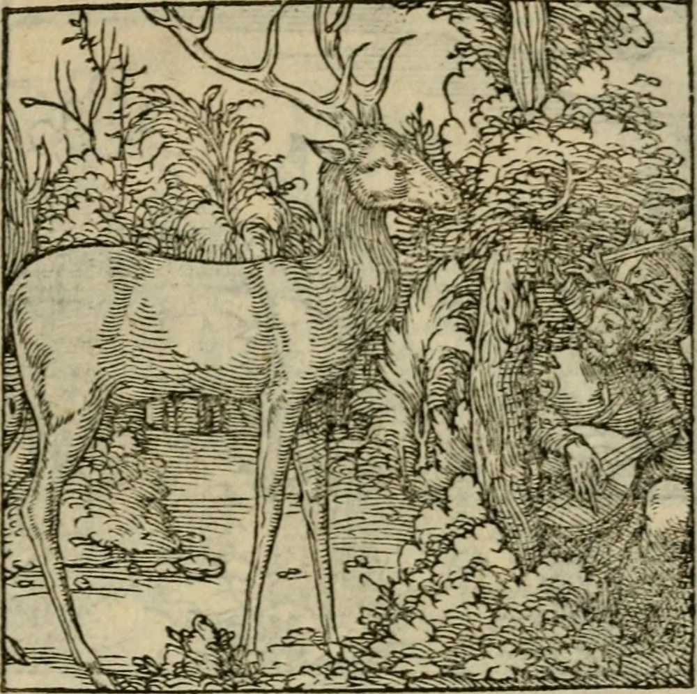 An illustration from Orvs Apollo de Ægypte De la signification des notes hieroglyphiques des Aegyptiens : cest a dire des figures par les quelles ilz escripuoient leurs mysteres secretz, & les choses sainctes & diuines, 1543, leaf 176