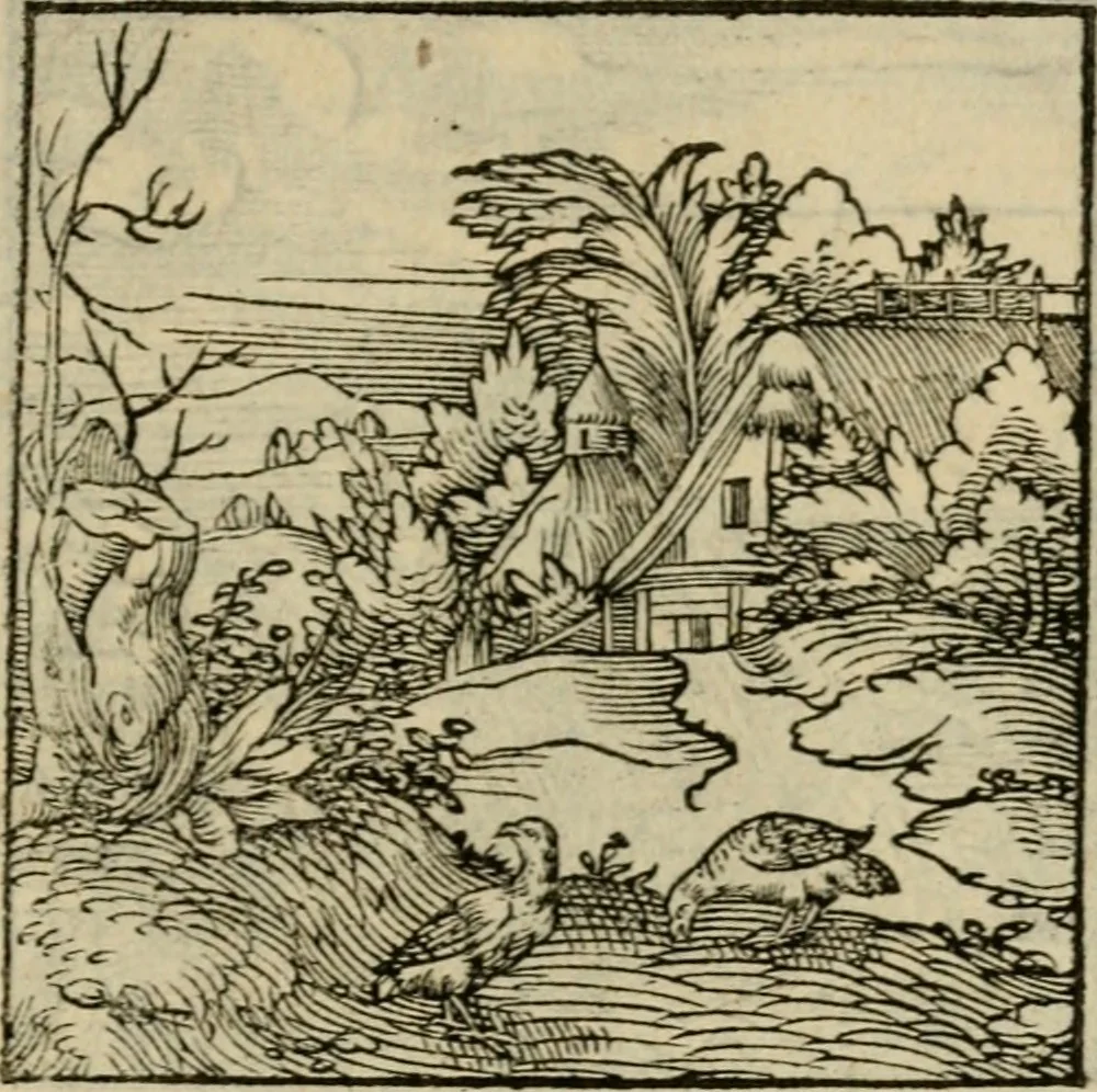An illustration from Orvs Apollo de Ægypte De la signification des notes hieroglyphiques des Aegyptiens : cest a dire des figures par les quelles ilz escripuoient leurs mysteres secretz, & les choses sainctes & diuines, 1543, leaf 180