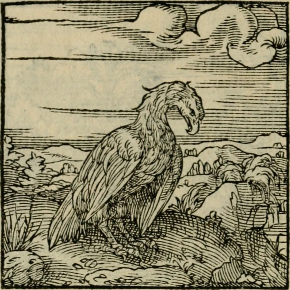 An illustration from Orvs Apollo de Ægypte De la signification des notes hieroglyphiques des Aegyptiens : cest a dire des figures par les quelles ilz escripuoient leurs mysteres secretz, & les choses sainctes & diuines, 1543, leaf 181