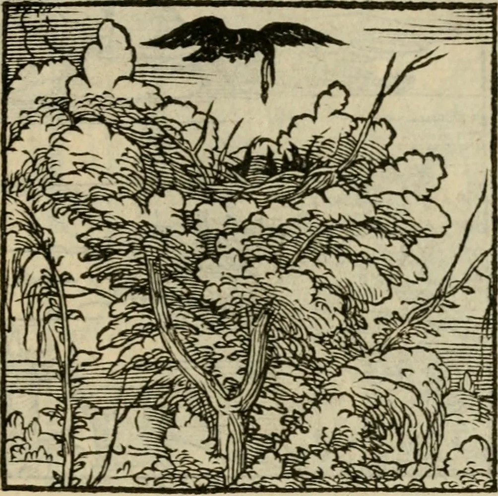 An illustration from Orvs Apollo de Ægypte De la signification des notes hieroglyphiques des Aegyptiens : cest a dire des figures par les quelles ilz escripuoient leurs mysteres secretz, & les choses sainctes & diuines, 1543, leaf 182