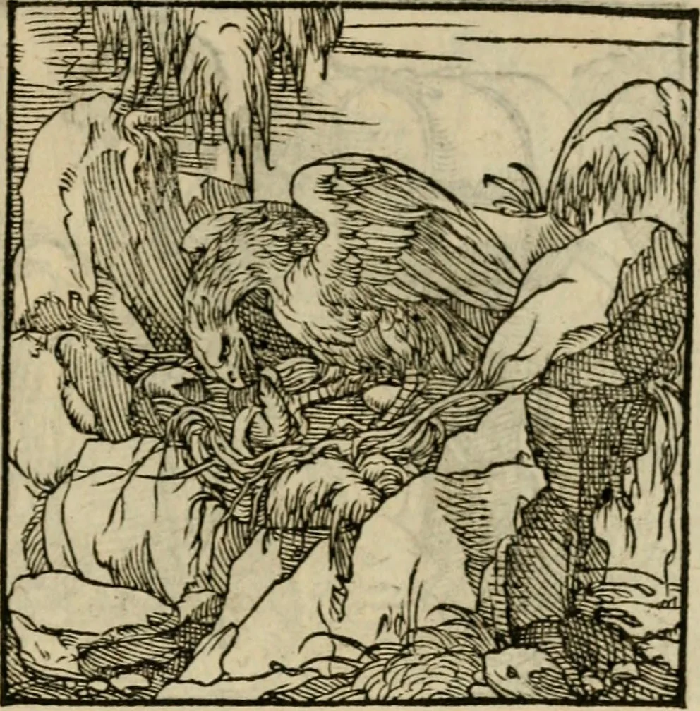 An illustration from Orvs Apollo de Ægypte De la signification des notes hieroglyphiques des Aegyptiens : cest a dire des figures par les quelles ilz escripuoient leurs mysteres secretz, & les choses sainctes & diuines, 1543, leaf 184