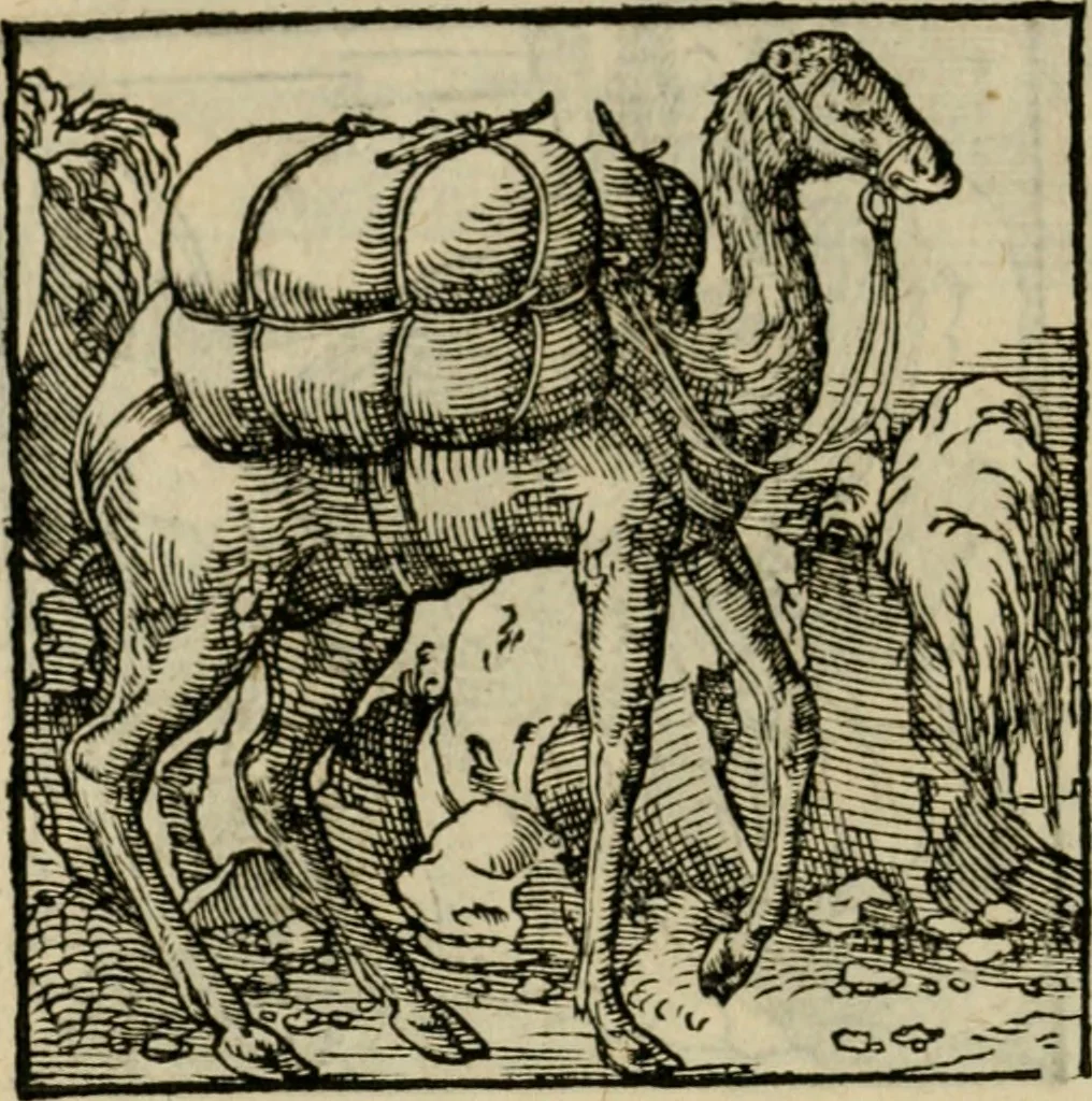 An illustration from Orvs Apollo de Ægypte De la signification des notes hieroglyphiques des Aegyptiens : cest a dire des figures par les quelles ilz escripuoient leurs mysteres secretz, & les choses sainctes & diuines, 1543, leaf 185