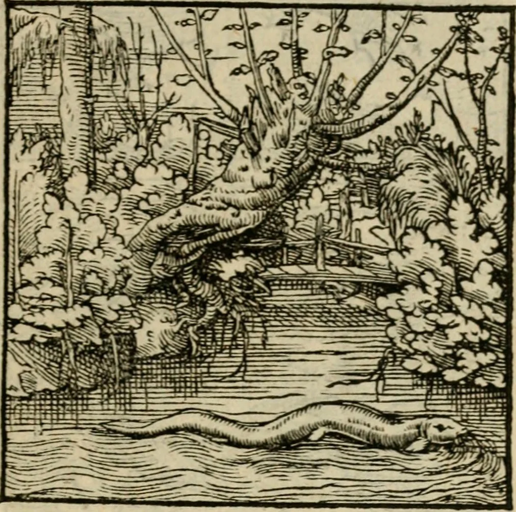 An illustration from Orvs Apollo de Ægypte De la signification des notes hieroglyphiques des Aegyptiens : cest a dire des figures par les quelles ilz escripuoient leurs mysteres secretz, & les choses sainctes & diuines, 1543, leaf 188