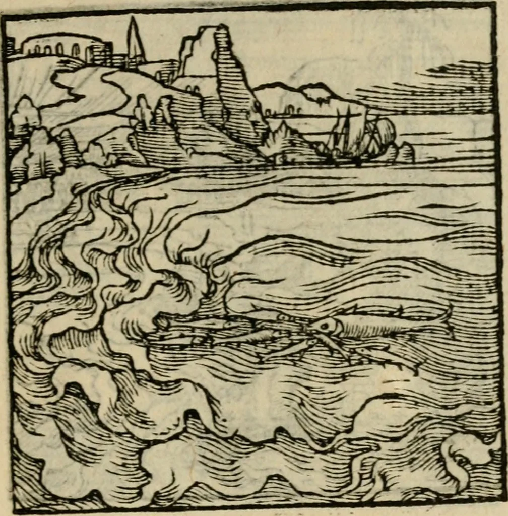 An illustration from Orvs Apollo de Ægypte De la signification des notes hieroglyphiques des Aegyptiens : cest a dire des figures par les quelles ilz escripuoient leurs mysteres secretz, & les choses sainctes & diuines, 1543, leaf 194