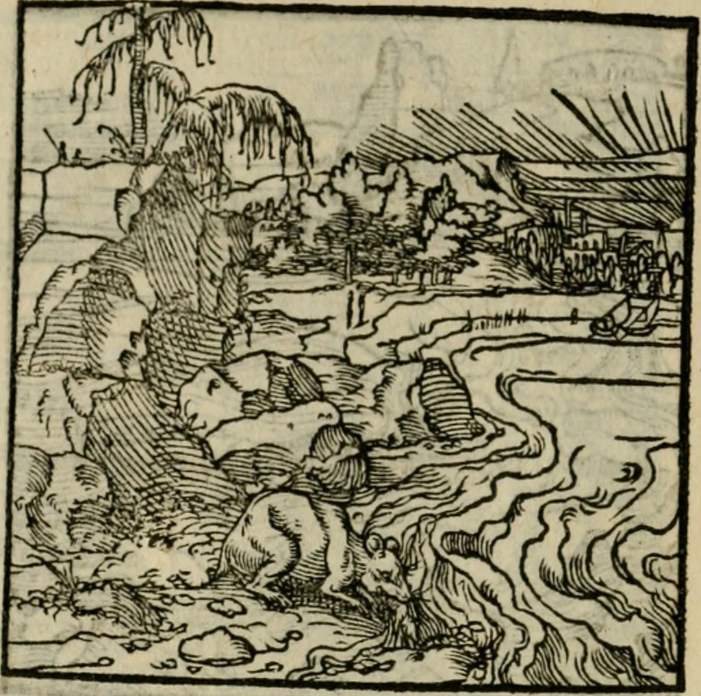 An illustration from Orvs Apollo de Ægypte De la signification des notes hieroglyphiques des Aegyptiens : cest a dire des figures par les quelles ilz escripuoient leurs mysteres secretz, & les choses sainctes & diuines, 1543, leaf 195