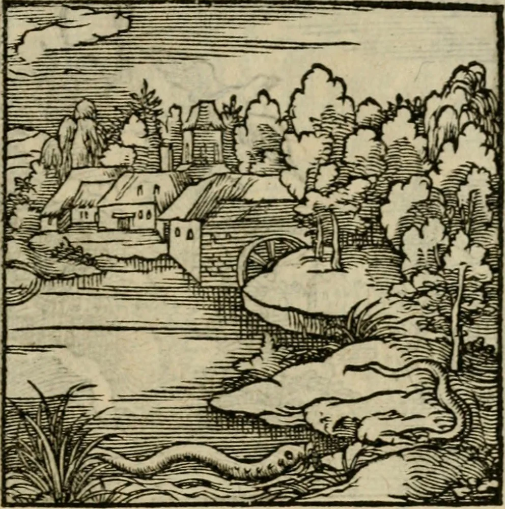 An illustration from Orvs Apollo de Ægypte De la signification des notes hieroglyphiques des Aegyptiens : cest a dire des figures par les quelles ilz escripuoient leurs mysteres secretz, & les choses sainctes & diuines, 1543, leaf 196