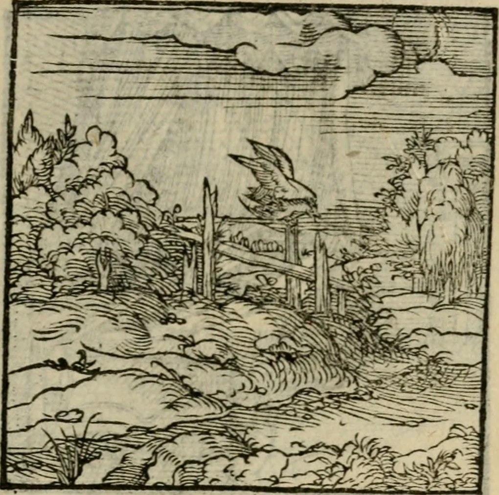 An illustration from Orvs Apollo de Ægypte De la signification des notes hieroglyphiques des Aegyptiens : cest a dire des figures par les quelles ilz escripuoient leurs mysteres secretz, & les choses sainctes & diuines, 1543, leaf 200