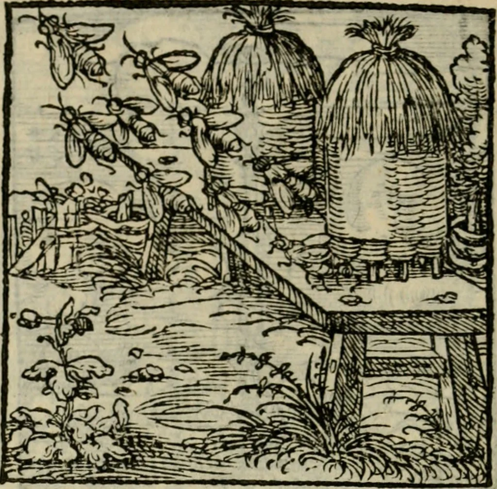 An illustration from Orvs Apollo de Ægypte De la signification des notes hieroglyphiques des Aegyptiens : cest a dire des figures par les quelles ilz escripuoient leurs mysteres secretz, & les choses sainctes & diuines, 1543, leaf 207