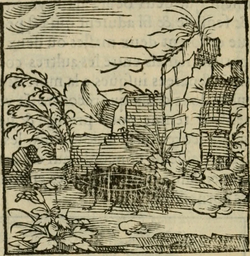 An illustration from Orvs Apollo de Ægypte De la signification des notes hieroglyphiques des Aegyptiens : cest a dire des figures par les quelles ilz escripuoient leurs mysteres secretz, & les choses sainctes & diuines, 1543, leaf 21