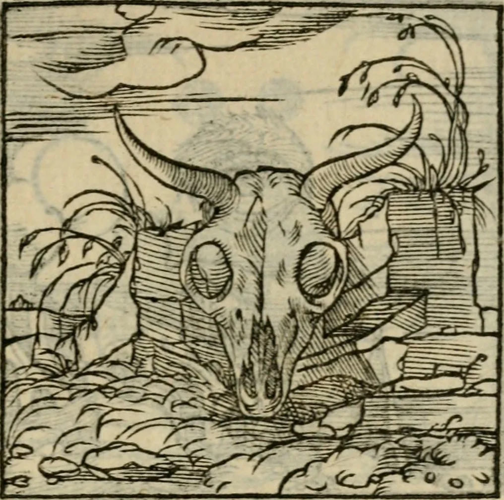 An illustration from Orvs Apollo de Ægypte De la signification des notes hieroglyphiques des Aegyptiens : cest a dire des figures par les quelles ilz escripuoient leurs mysteres secretz, & les choses sainctes & diuines, 1543, leaf 210