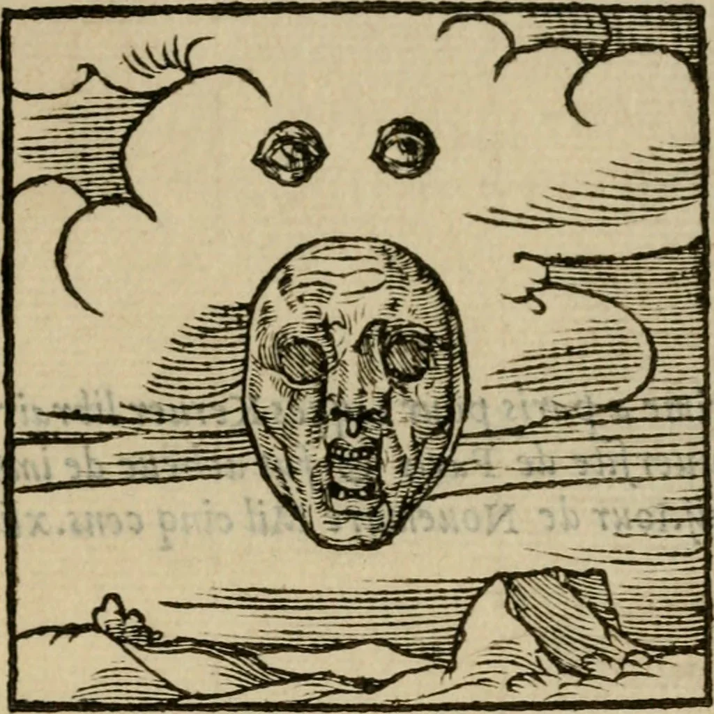 An illustration from Orvs Apollo de Ægypte De la signification des notes hieroglyphiques des Aegyptiens : cest a dire des figures par les quelles ilz escripuoient leurs mysteres secretz, & les choses sainctes & diuines, 1543, leaf 212