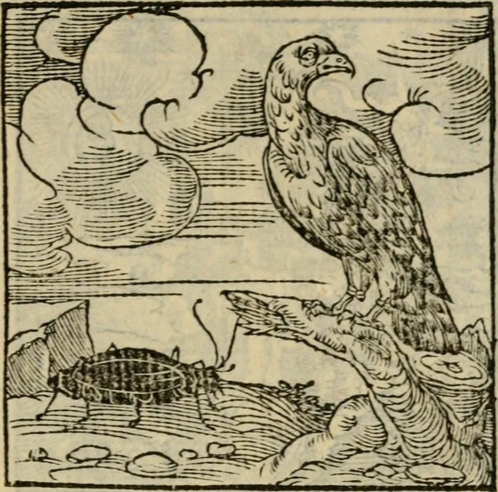 An illustration from Orvs Apollo de Ægypte De la signification des notes hieroglyphiques des Aegyptiens : cest a dire des figures par les quelles ilz escripuoient leurs mysteres secretz, & les choses sainctes & diuines, 1543, leaf 26