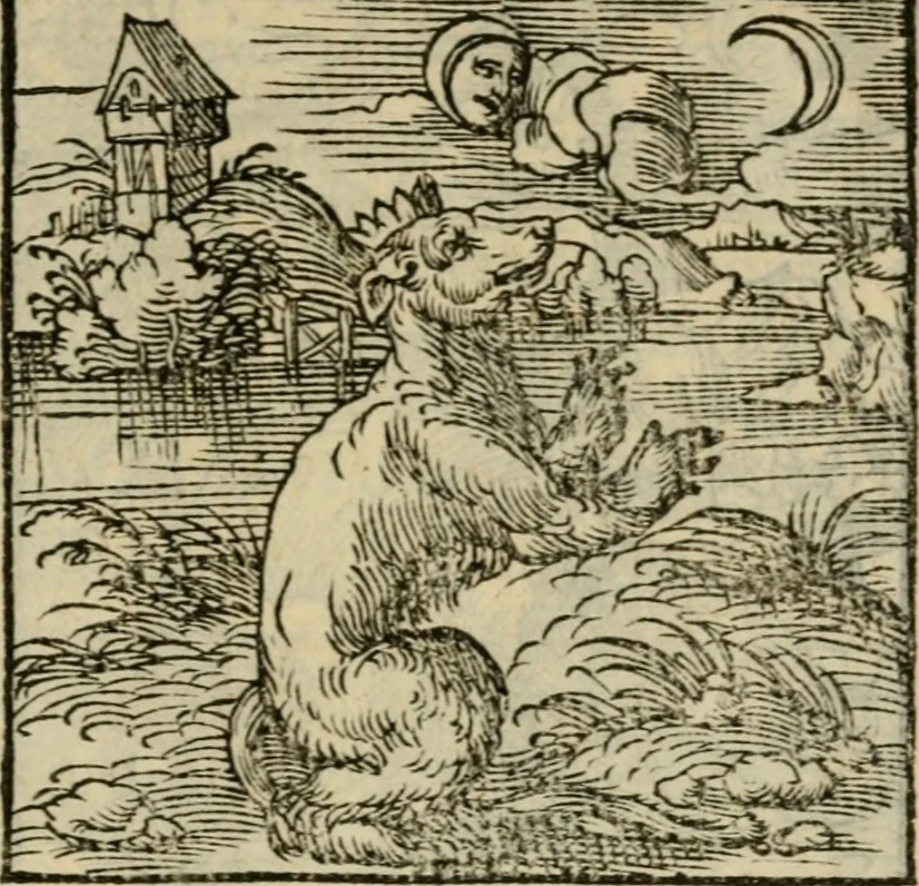 An illustration from Orvs Apollo de Ægypte De la signification des notes hieroglyphiques des Aegyptiens : cest a dire des figures par les quelles ilz escripuoient leurs mysteres secretz, & les choses sainctes & diuines, 1543, leaf 30