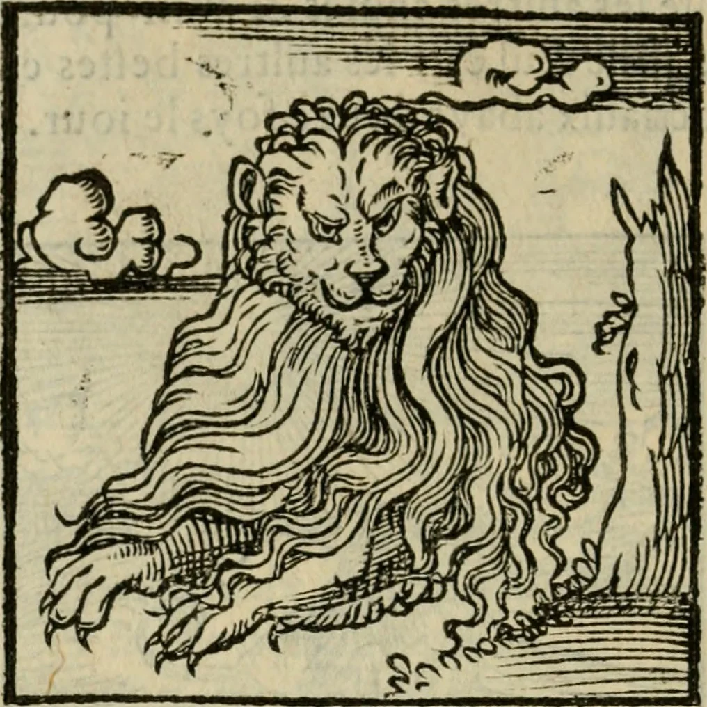 An illustration from Orvs Apollo de Ægypte De la signification des notes hieroglyphiques des Aegyptiens : cest a dire des figures par les quelles ilz escripuoient leurs mysteres secretz, & les choses sainctes & diuines, 1543, leaf 33
