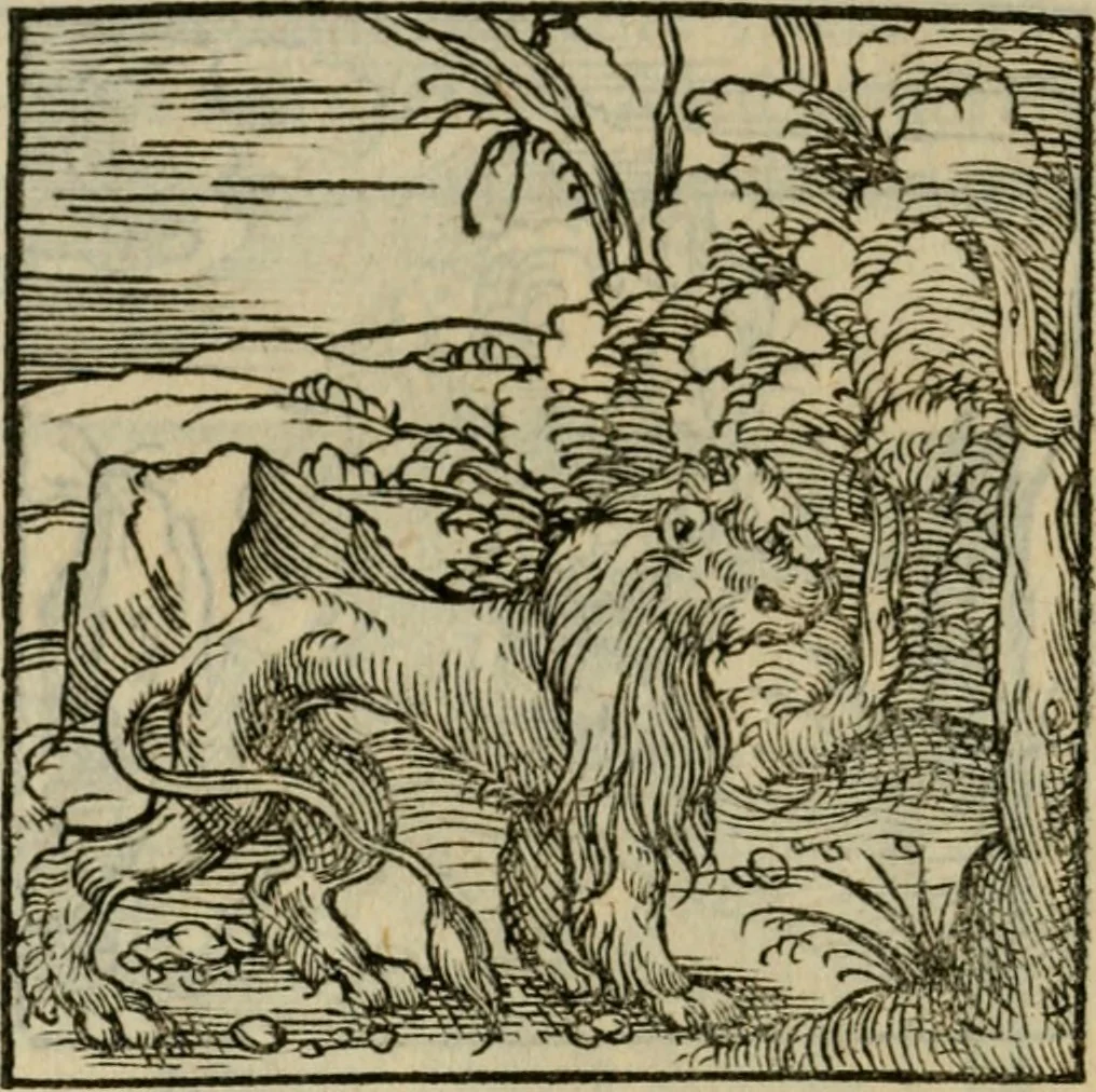 An illustration from Orvs Apollo de Ægypte De la signification des notes hieroglyphiques des Aegyptiens : cest a dire des figures par les quelles ilz escripuoient leurs mysteres secretz, & les choses sainctes & diuines, 1543, leaf 35