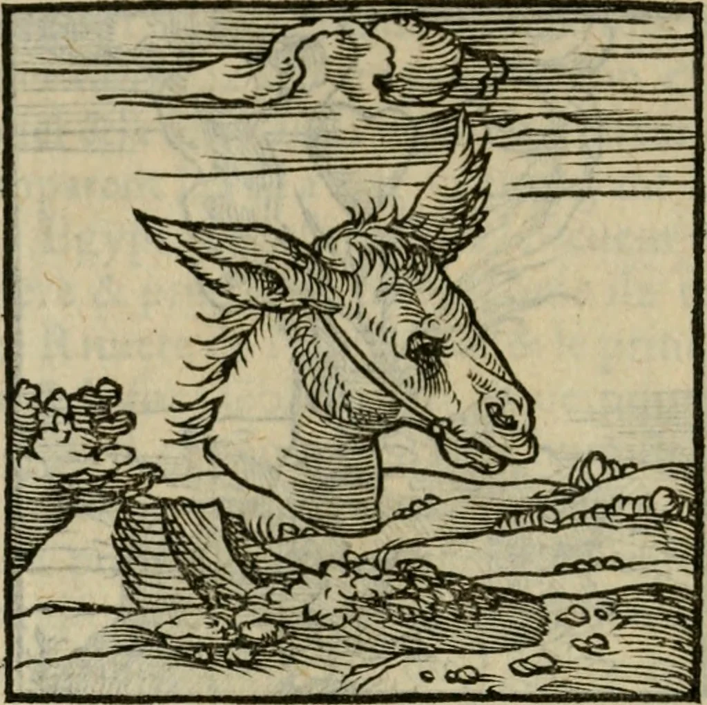An illustration from Orvs Apollo de Ægypte De la signification des notes hieroglyphiques des Aegyptiens : cest a dire des figures par les quelles ilz escripuoient leurs mysteres secretz, & les choses sainctes & diuines, 1543, leaf 39