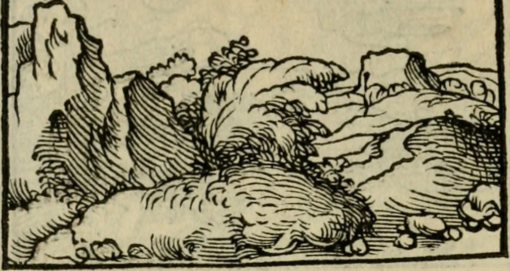 An illustration from Orvs Apollo de Ægypte De la signification des notes hieroglyphiques des Aegyptiens : cest a dire des figures par les quelles ilz escripuoient leurs mysteres secretz, & les choses sainctes & diuines, 1543, leaf 43