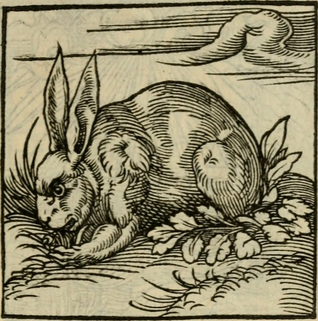 An illustration from Orvs Apollo de Ægypte De la signification des notes hieroglyphiques des Aegyptiens : cest a dire des figures par les quelles ilz escripuoient leurs mysteres secretz, & les choses sainctes & diuines, 1543, leaf 44