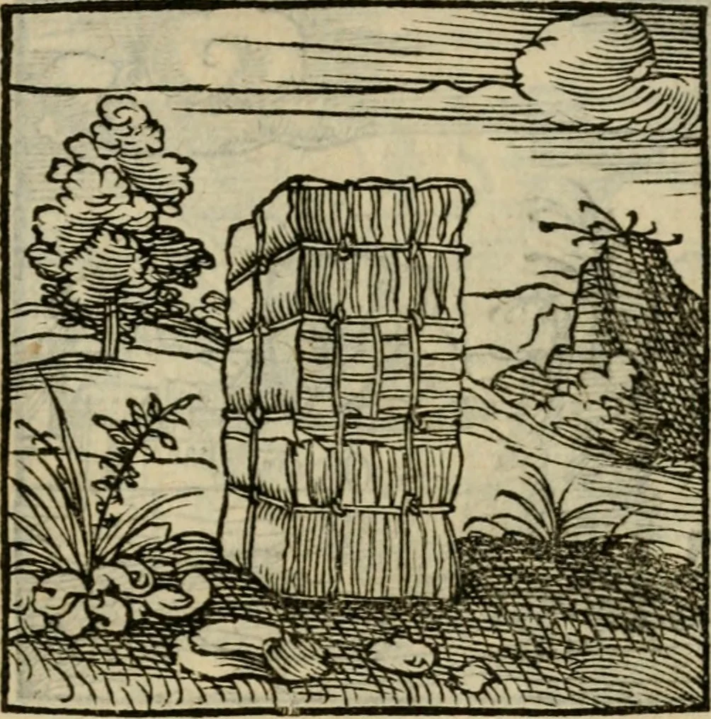 An illustration from Orvs Apollo de Ægypte De la signification des notes hieroglyphiques des Aegyptiens : cest a dire des figures par les quelles ilz escripuoient leurs mysteres secretz, & les choses sainctes & diuines, 1543, leaf 48