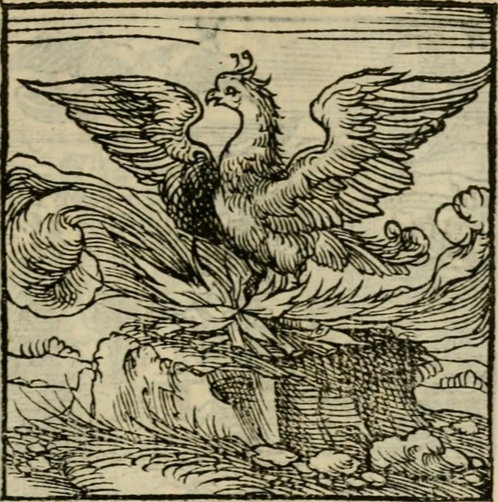 An illustration from Orvs Apollo de Ægypte De la signification des notes hieroglyphiques des Aegyptiens : cest a dire des figures par les quelles ilz escripuoient leurs mysteres secretz, & les choses sainctes & diuines, 1543, leaf 50