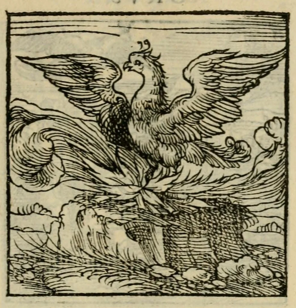 An illustration from Orvs Apollo de Ægypte De la signification des notes hieroglyphiques des Aegyptiens : cest a dire des figures par les quelles ilz escripuoient leurs mysteres secretz, & les choses sainctes & diuines, 1543, leaf 51