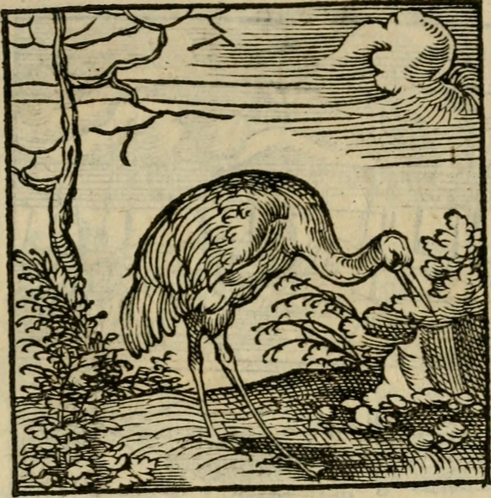 An illustration from Orvs Apollo de Ægypte De la signification des notes hieroglyphiques des Aegyptiens : cest a dire des figures par les quelles ilz escripuoient leurs mysteres secretz, & les choses sainctes & diuines, 1543, leaf 52