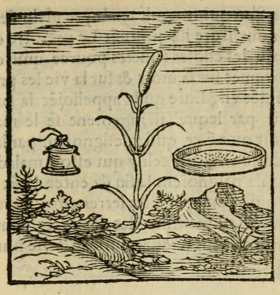 An illustration from Orvs Apollo de Ægypte De la signification des notes hieroglyphiques des Aegyptiens : cest a dire des figures par les quelles ilz escripuoient leurs mysteres secretz, & les choses sainctes & diuines, 1543, leaf 55