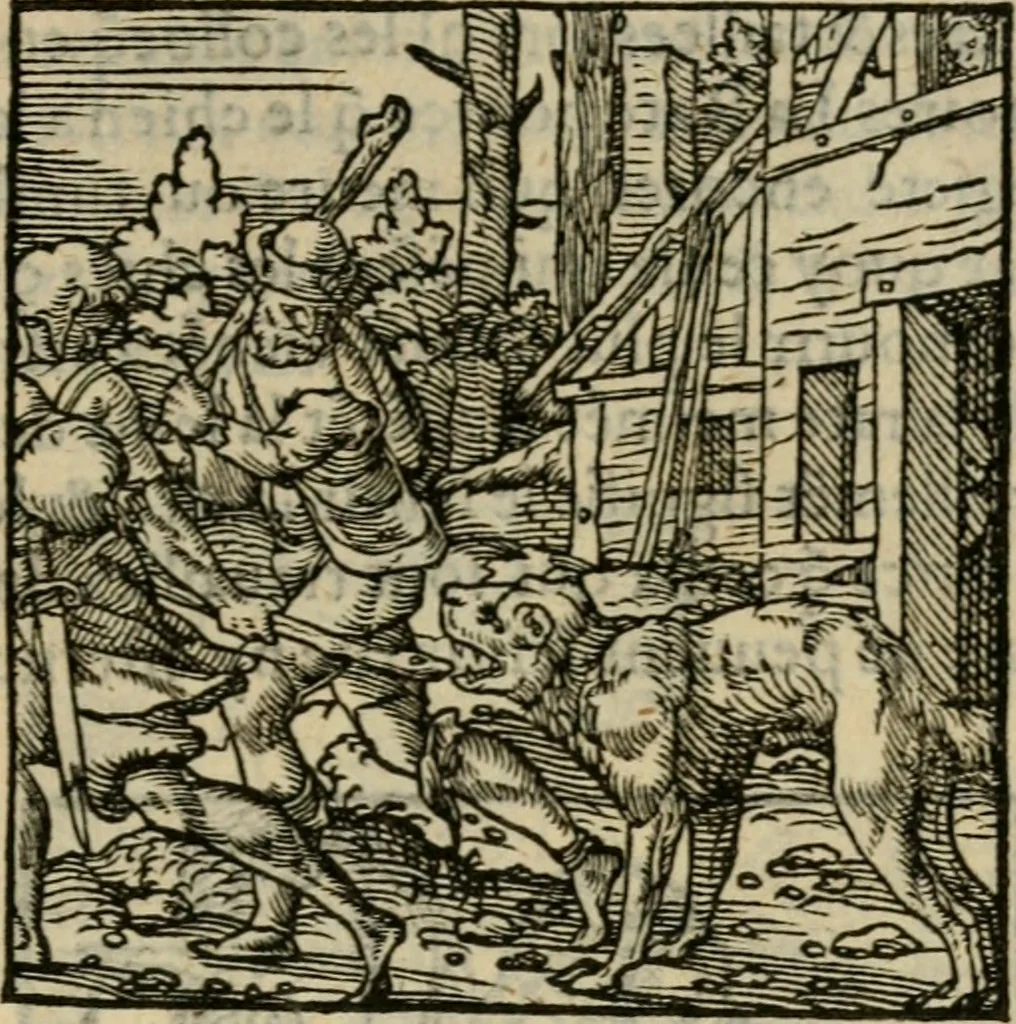 An illustration from Orvs Apollo de Ægypte De la signification des notes hieroglyphiques des Aegyptiens : cest a dire des figures par les quelles ilz escripuoient leurs mysteres secretz, & les choses sainctes & diuines, 1543, leaf 56