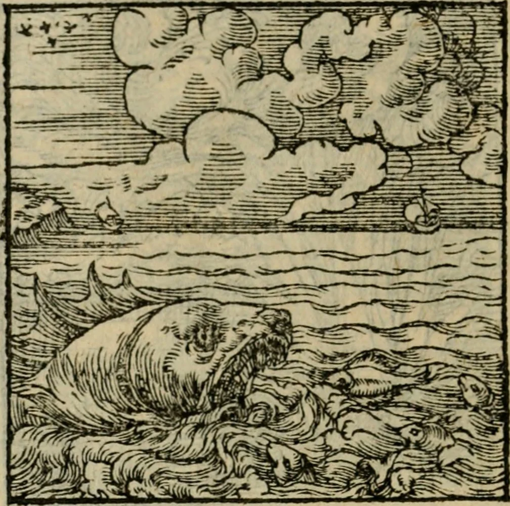 An illustration from Orvs Apollo de Ægypte De la signification des notes hieroglyphiques des Aegyptiens : cest a dire des figures par les quelles ilz escripuoient leurs mysteres secretz, & les choses sainctes & diuines, 1543, leaf 61