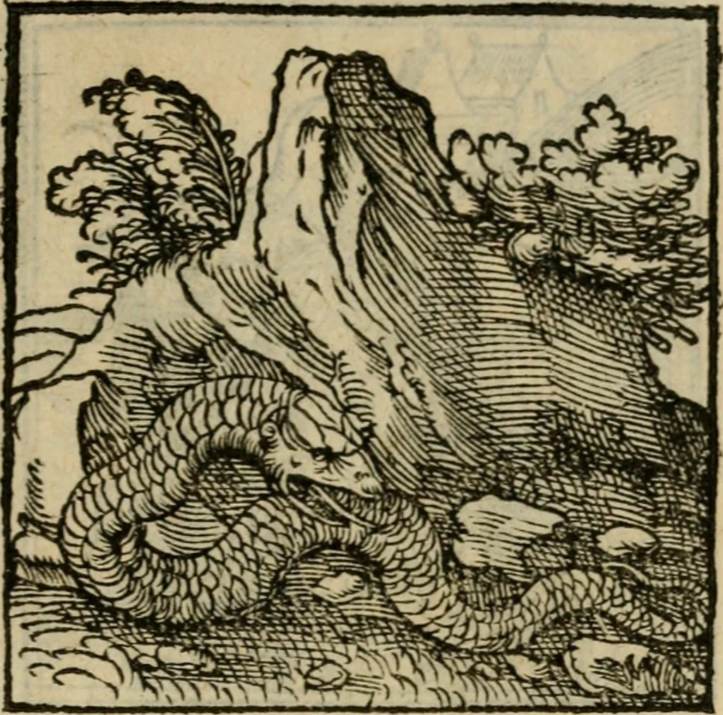 An illustration from Orvs Apollo de Ægypte De la signification des notes hieroglyphiques des Aegyptiens : cest a dire des figures par les quelles ilz escripuoient leurs mysteres secretz, & les choses sainctes & diuines, 1543, leaf 62