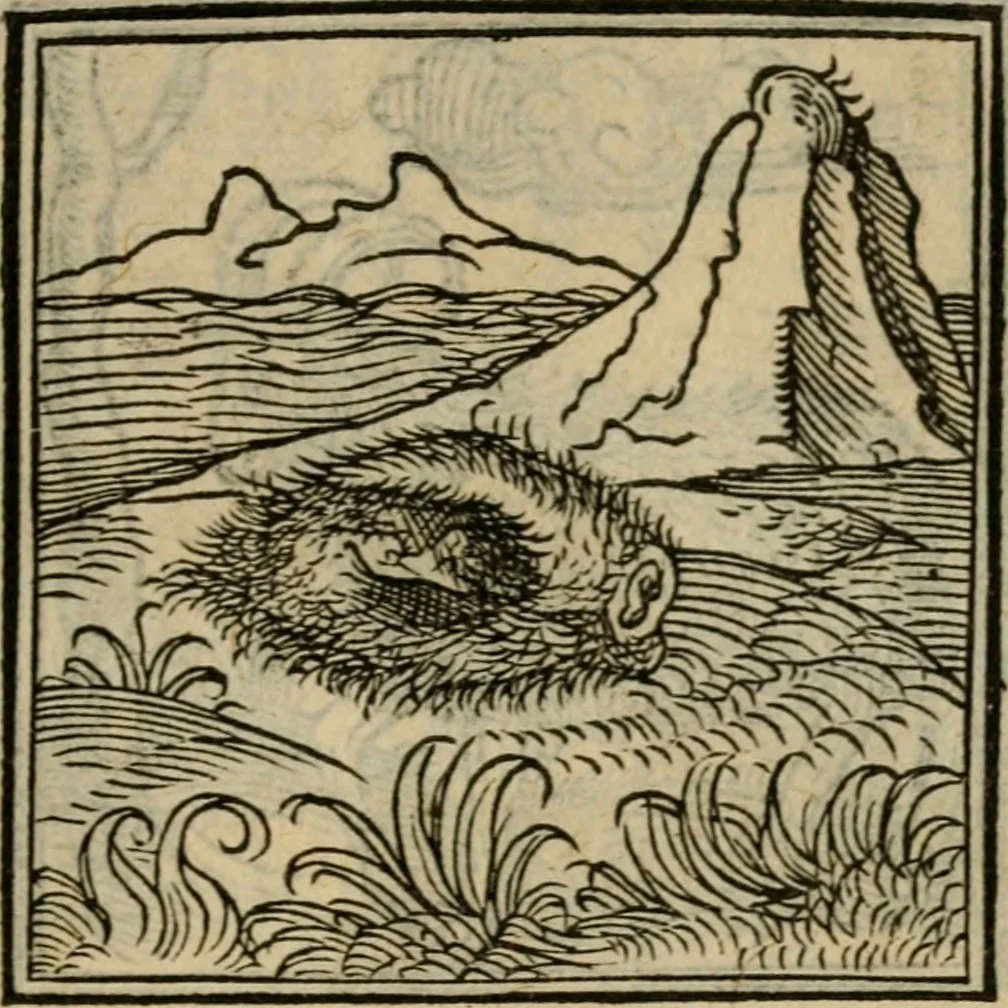 An illustration from Orvs Apollo de Ægypte De la signification des notes hieroglyphiques des Aegyptiens : cest a dire des figures par les quelles ilz escripuoient leurs mysteres secretz, & les choses sainctes & diuines, 1543, leaf 64