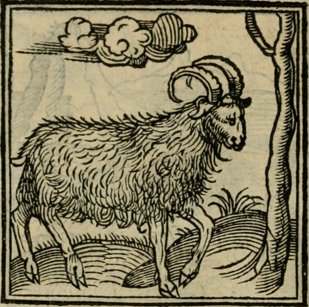 An illustration from Orvs Apollo de Ægypte De la signification des notes hieroglyphiques des Aegyptiens : cest a dire des figures par les quelles ilz escripuoient leurs mysteres secretz, & les choses sainctes & diuines, 1543, leaf 65