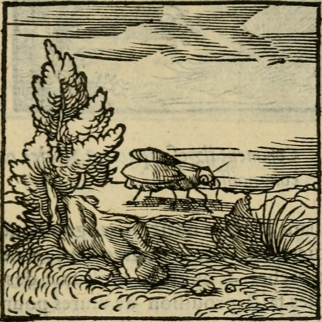 An illustration from Orvs Apollo de Ægypte De la signification des notes hieroglyphiques des Aegyptiens : cest a dire des figures par les quelles ilz escripuoient leurs mysteres secretz, & les choses sainctes & diuines, 1543, leaf 68