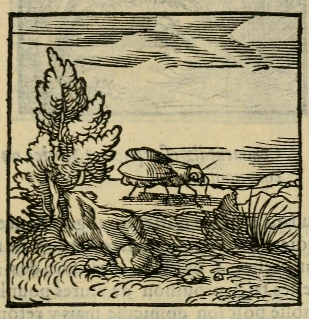 An illustration from Orvs Apollo de Ægypte De la signification des notes hieroglyphiques des Aegyptiens : cest a dire des figures par les quelles ilz escripuoient leurs mysteres secretz, & les choses sainctes & diuines, 1543, leaf 69